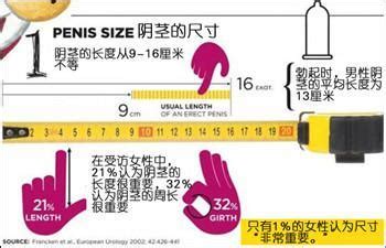 下面尺寸|人類陰莖尺寸